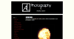 Desktop Screenshot of photosbyaudreylarson.com